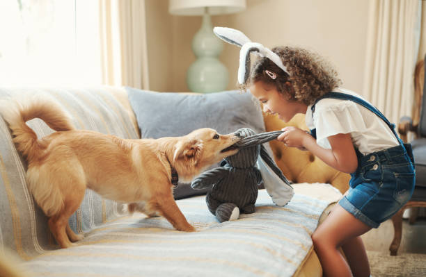 Benefícios de Ter um Animal de Estimação para as Crianças em Animais de Estimação brincar com cão