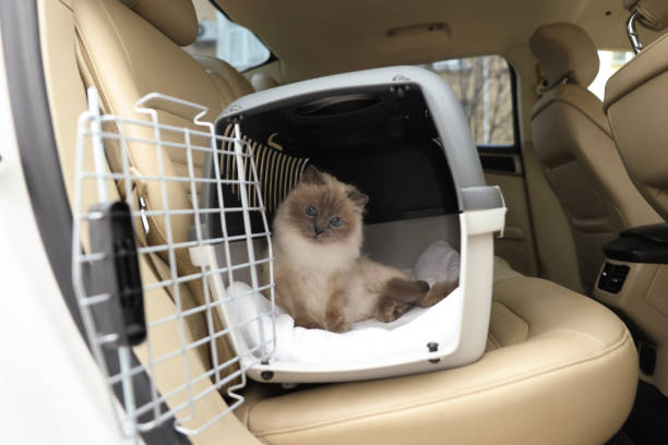 Transportadora de Animais: Segurança, Conforto e Liberdade de Movimento em Animais de Estimação, Cães, Gatos transportadora