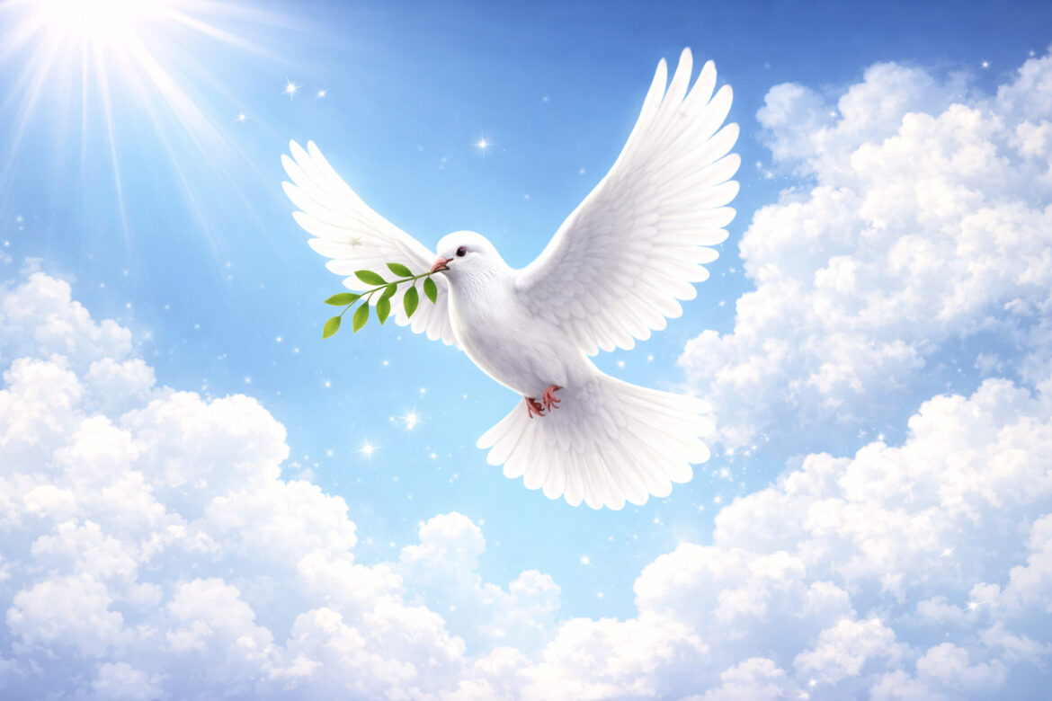 Pomba-da-paz: Impressionante e Essencial para Todos